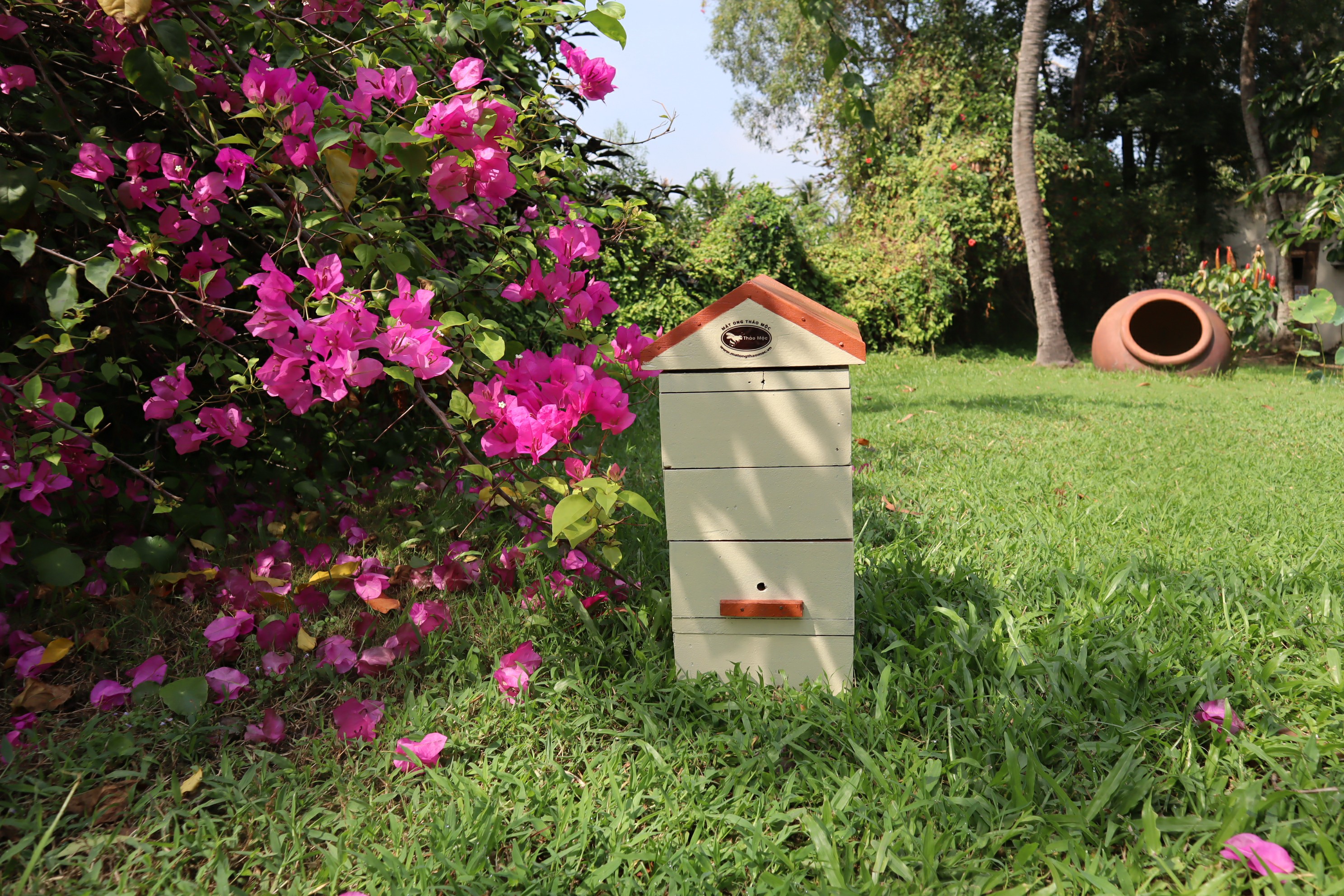 thùng ong dú thông minh