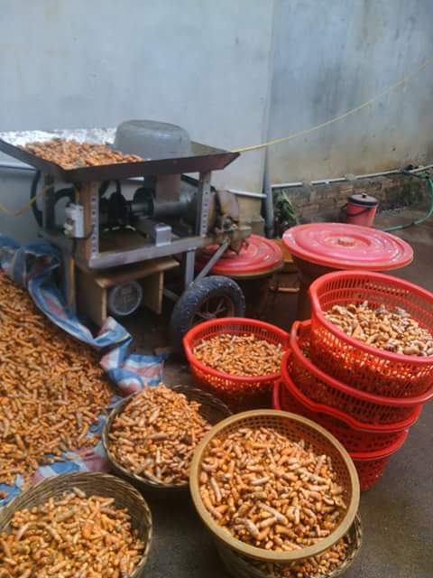 tinh bột nghệ nguyên chất thảo mộc